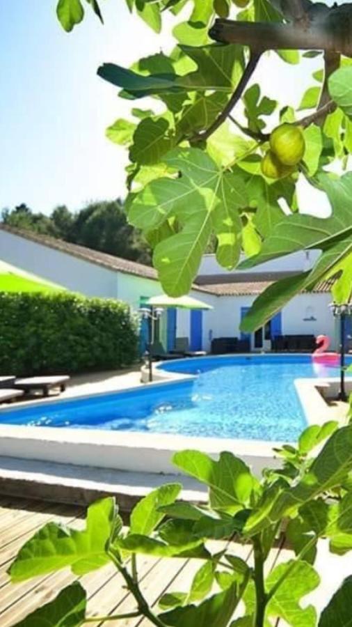 La Villa Du Menhir Chambre D'Hotes Bize-Minervois Екстериор снимка